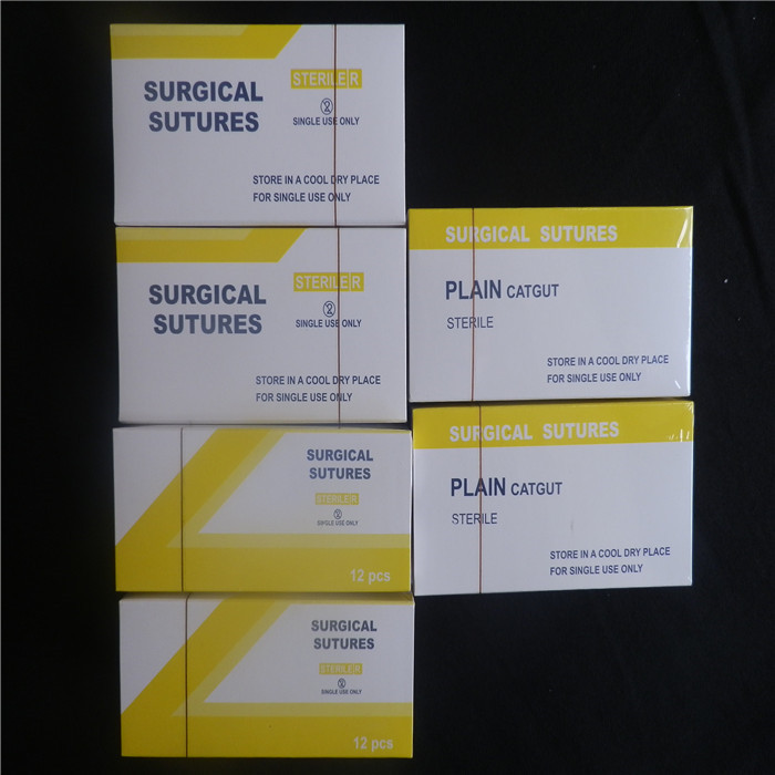 Plain catgut suture