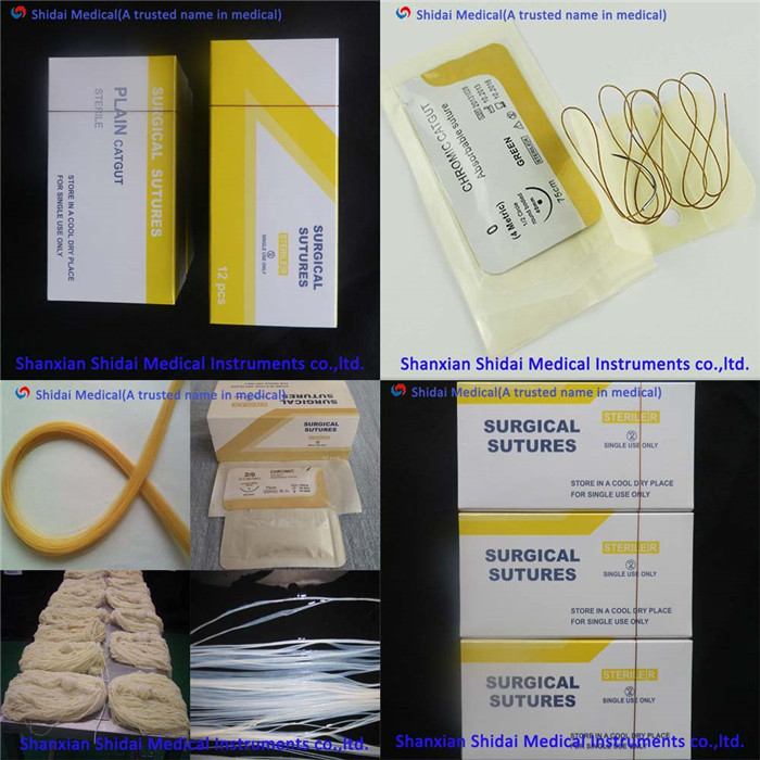 Plain catgut suture