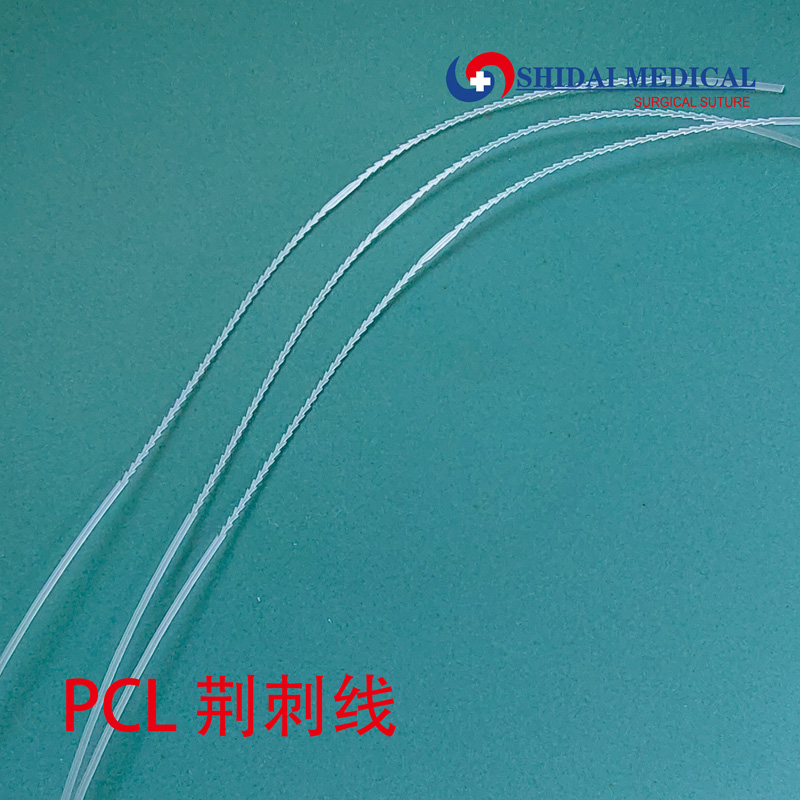PCL荆刺线